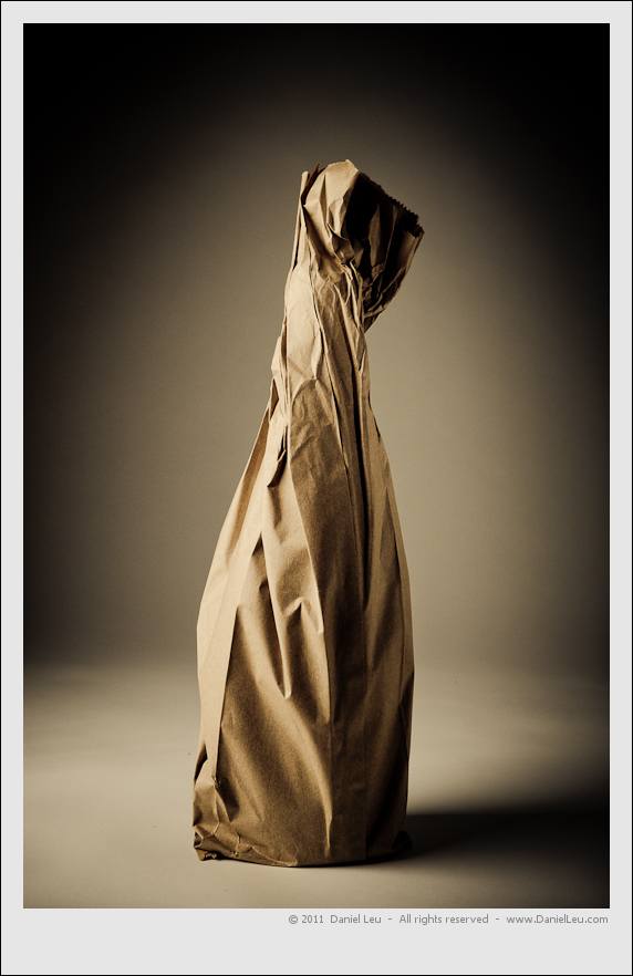 Brown Paper Bag – Daniel Leu | Photography